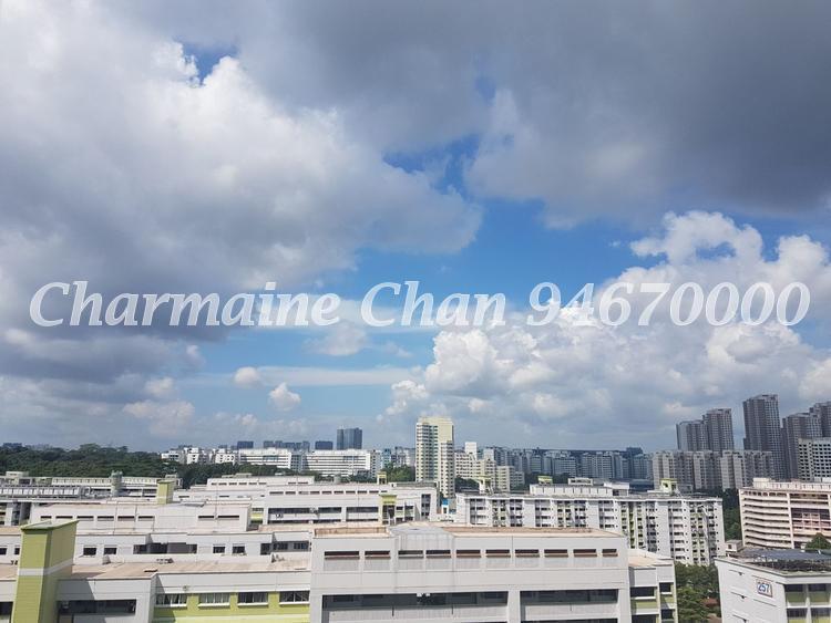 Hillview Regency (D23), Condominium #148569242